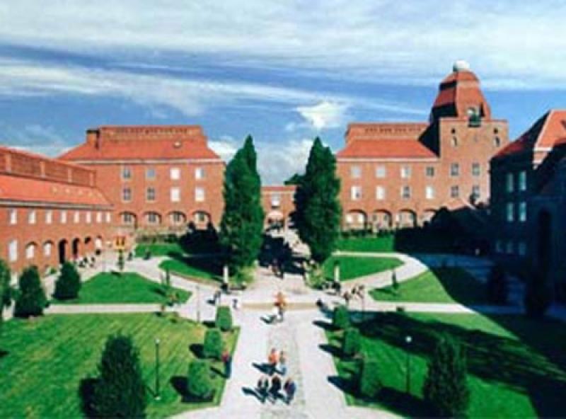 Стокгольмский университет. Стокгольмский университет в Швеции. Королевский Технологический институт. Уппсала университет.