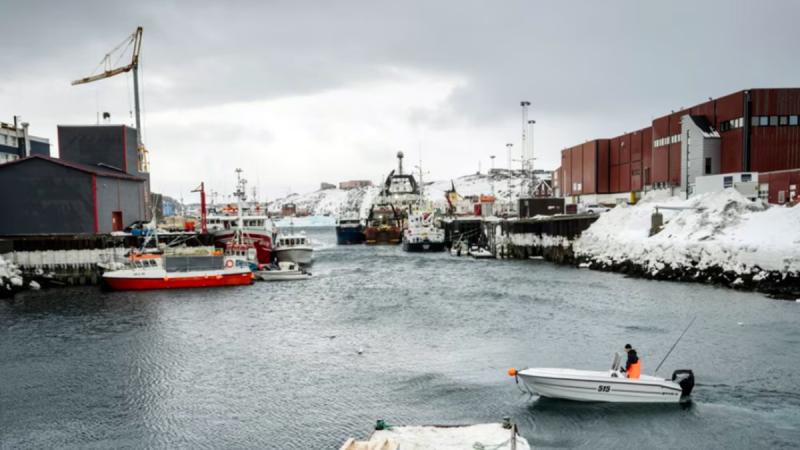 Թրամփը «քննարկում է Գրենլանդիան ձեռք բերելու ուղիները», ներառյալ զինուժի կիրառումը