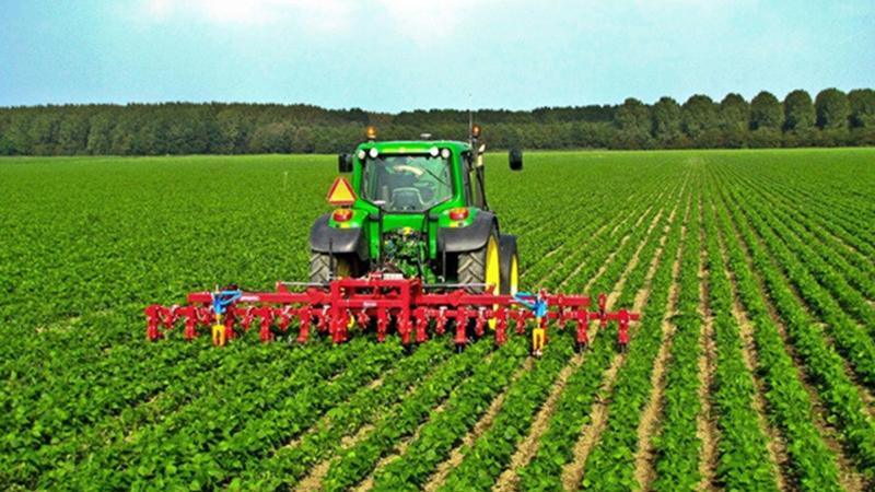 Կապահովվի գյուղատնտեսության ոլորտում ապահովագրական համակարգի ներդրման փորձնական ծրագրի իրականացումը