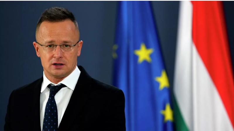 ԵՄ-ն դադարել է գլոբալ խաղացող լինել․ Սիյարտո