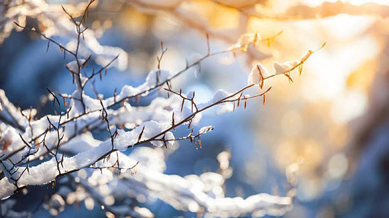 Օդի ջերմաստիճանը կնվազի 2-4 աստիճանով, այնուհետ նույնքան կբարձրանա․ լեռնային շրջաններում սպասվում բուք