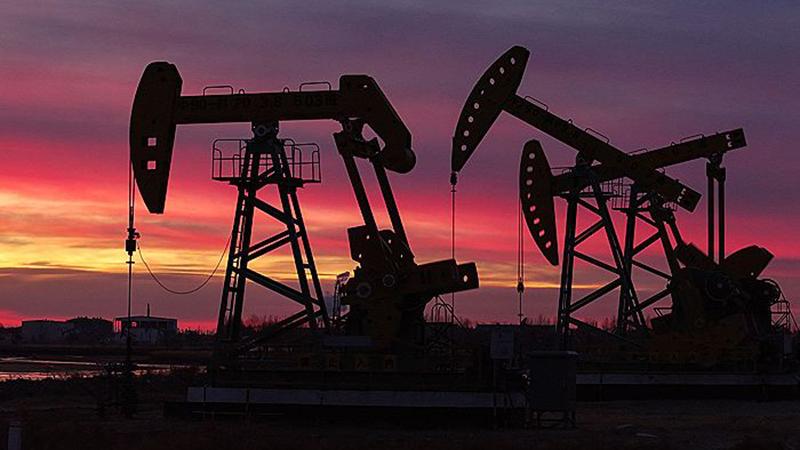 Սերբիան և Հունգարիան ժամանակավորապես արգելքներ են սահմանում նավթի և վառելիքի արտահանման վրա