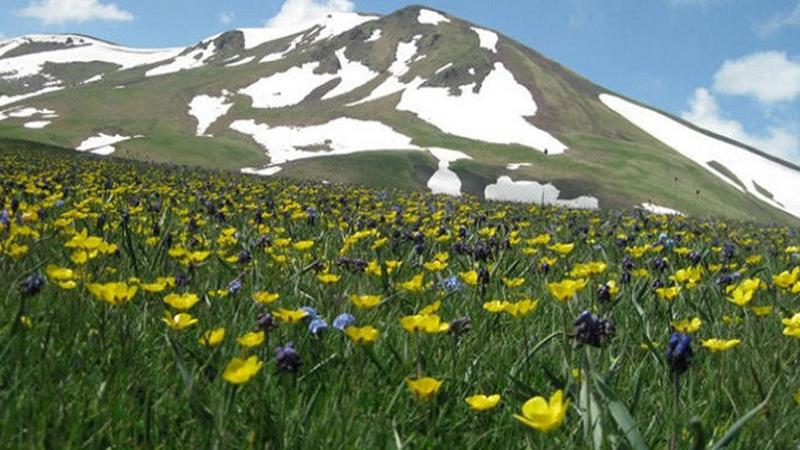 Առաջիկա օրերին ջերմաստիճանը կբարձրանա