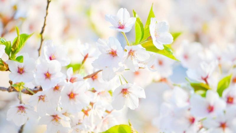 Սպասվում է առանց տեղումների եղանակ. օդի ջերմաստիճանը կբարձրանա 3-4 աստիճանով