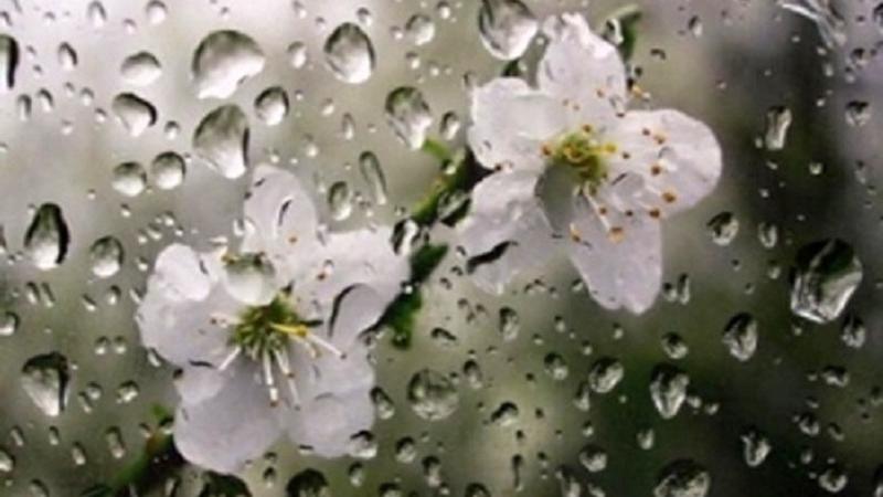 Հանրապետության տարածքում առաջիկա օրերին սպասում են տեղումներ