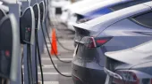 Գևորգ Պապոյանը ներկայացրել է էլեկտրական մեքենաների քվոտայի մնացորդները