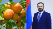 Ծիրանն արդեն սկսել է արտահանվել, նոր ենք սկսել և արդեն 162 տոննա ծիրան ենք արտահանել. Պապոյան