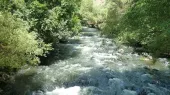 Փամբակ գետին դի մը յայտնաբերուած է