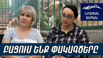 Есть приказ. Кто ответит за смерть льва? Защитники животных требуют независимого расследования.