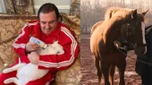 Возможно, будут конфискованы также лошади, принадлежащие Гагику Царукяну, - адвокат.