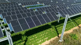 The Vatican will build a solar power plant with 100 million euros.