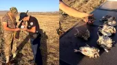 Экологическая служба призывает организовывать охоту исключительно в соответствии с установленным законом порядком.